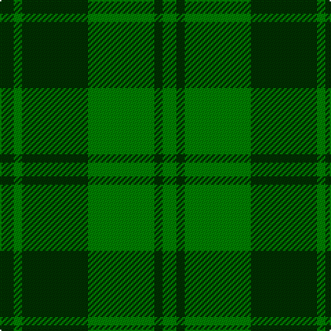 DG/10 G6 DG48 G48 DG6 G/10 tartan Tartan detail