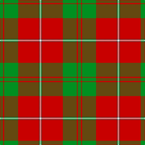 G/10 R4 G46 R69 K2 LN/6 tartan Tartan detail