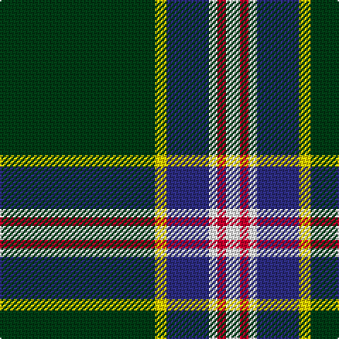 DG/110 Y8 DB30 W6 R6 W/10 tartan Tartan detail