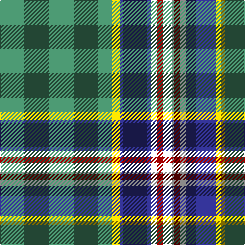 G/110 Y8 DB30 W6 DR6 W/10 tartan Tartan detail