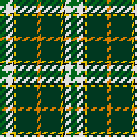 G/22 LN22 K6 Y6 DG72 O/14 tartan Tartan detail