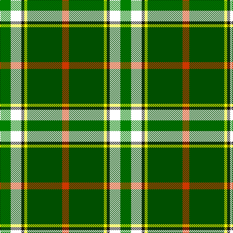 Ga/22 W22 K6 Y6 G72 DO/14 tartan Tartan detail