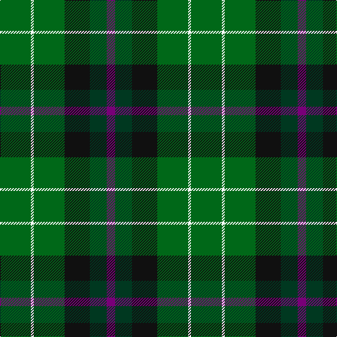 G/44 W4 G44 K36 DG24 P/12 tartan Tartan detail