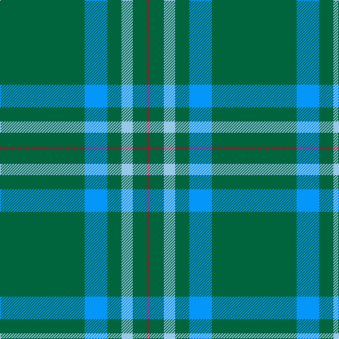 G/120 B32 G20 LB16 G20 R/4 tartan Tartan detail