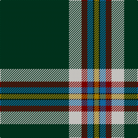 DG/120 LY22 DR10 B10 K2 DY/8 tartan Tartan detail