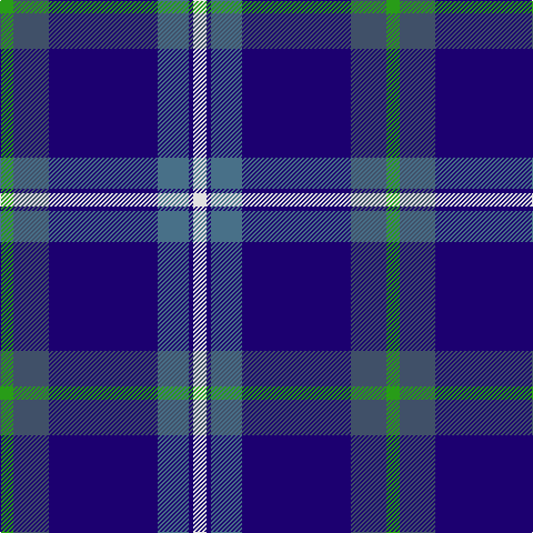 G/12 N32 DB98 B28 DB4 LN/12 tartan Tartan detail