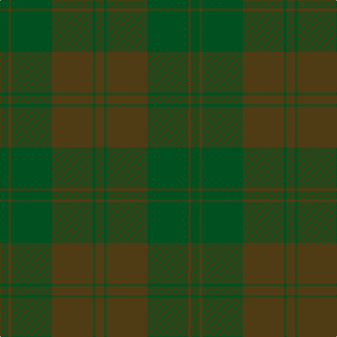 G/12 T4 G58 T58 G4 T/12 tartan Tartan detail
