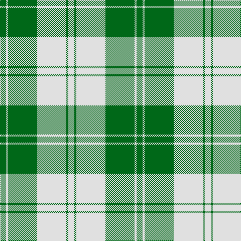 G/12 LN4 G58 LN58 G4 LN/12 tartan Tartan detail