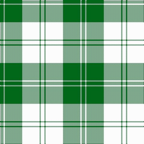 G/12 W4 G58 W58 G4 W/12 tartan Tartan detail