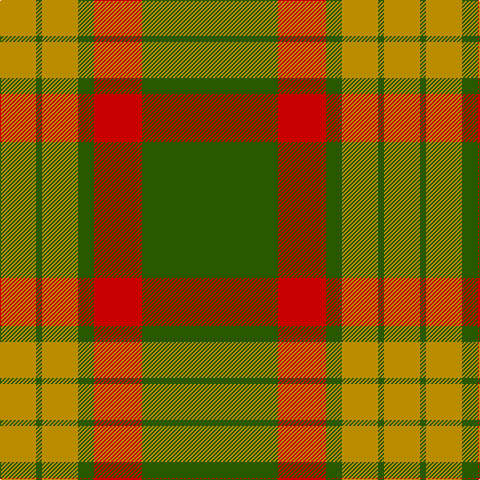DY/36 G6 DY36 G16 R48 G/136 tartan Tartan detail