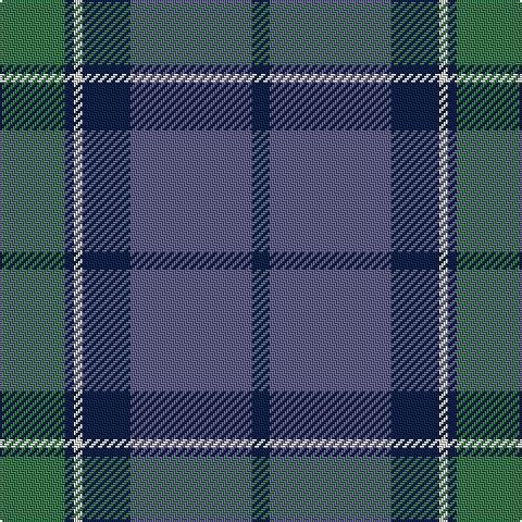 DB/8 N56 DB22 LN4 DB4 G/30 tartan Tartan detail