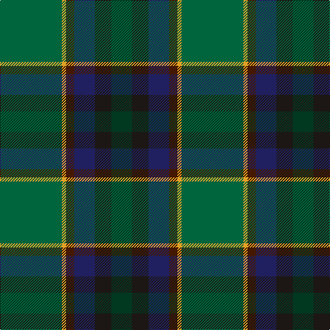 DG/30 K24 DB30 DR12 Y6 G/90 tartan Tartan detail