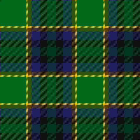 DG/30 K24 DB30 T12 Y6 G/90 tartan Tartan detail