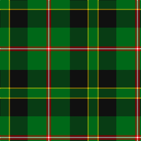 G/30 Y4 K60 G64 R6 W/4 tartan Tartan detail