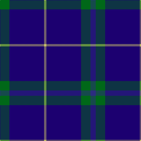 G/32 DBa118 LG8 DBa118 G32 DB/18 tartan Tartan detail