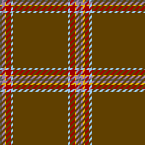 N/8 LP8 Y4 DR16 LB8 T/180 tartan Tartan detail