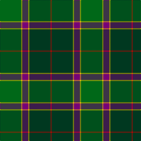 G/72 Y4 P20 Y4 DG72 R/4 tartan Tartan detail