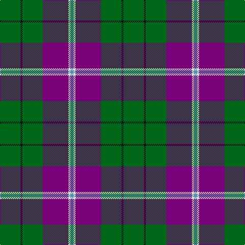 B/6 LN4 P50 G40 K4 G/40 tartan Tartan detail