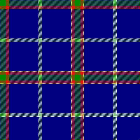 G/20 R10 Y2 DB100 W1 LG/10 tartan Tartan detail