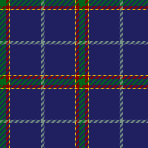 G/20 DR10 Y2 DB100 W1 LG/10 tartan Tartan detail