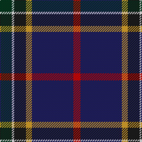 DG/20 W4 K20 Y10 DB70 R/12 tartan Tartan detail