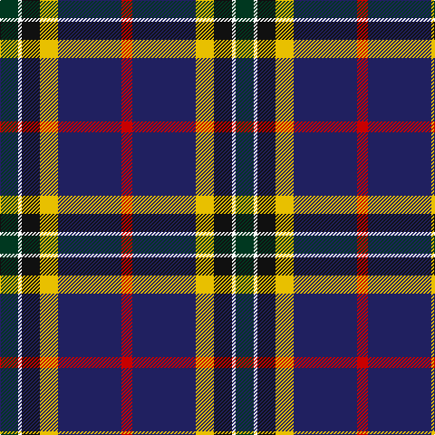 DG/20 W4 K20 Y20 DB70 R/12 tartan Tartan detail
