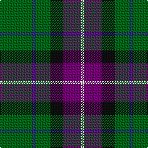 G/52 DB6 G24 K20 P30 LN/4 tartan Tartan detail