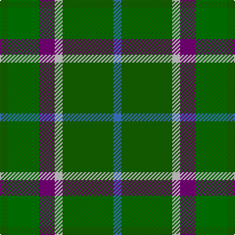 G/8 Ga32 P16 N8 G52 B/8 tartan Tartan detail