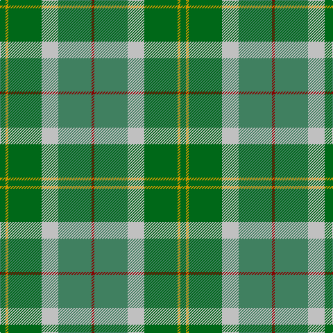 Ga/8 DY4 Ga48 N24 G48 DR/4 tartan Tartan detail