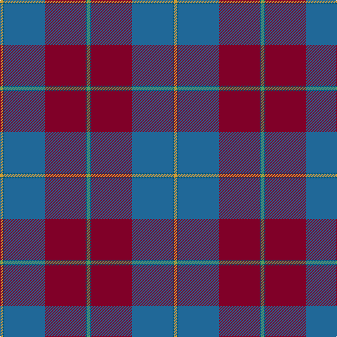 LG/4 DB2 DR58 B58 DB2 O/4 tartan Tartan detail
