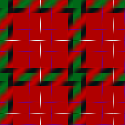 G/30 K20 DR60 P4 DR40 LN/2 tartan Tartan detail