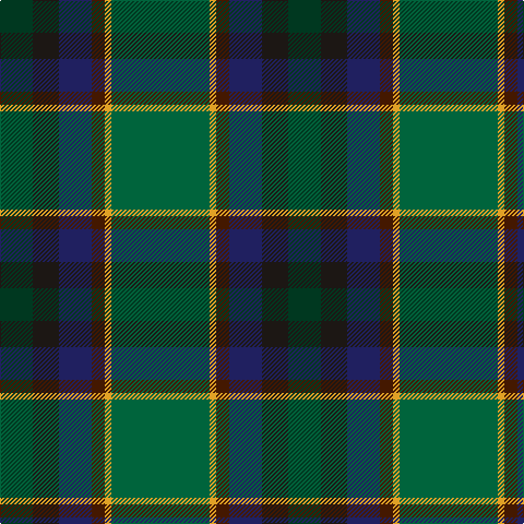 DG/30 K24 DB30 DR12 Y6 G/90 tartan Tartan detail
