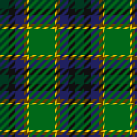 DG/30 K24 DB30 T12 Y6 G/90 tartan Tartan detail