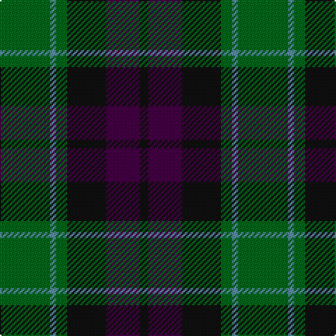 G/36 B4 G8 K28 DP24 K/6 tartan Tartan detail