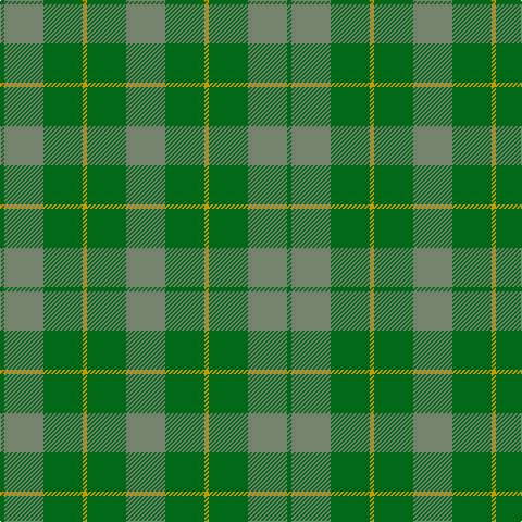 G/4 N36 G36 DY4 G36 N/36 tartan Tartan detail