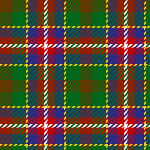 T/38 G46 Y6 DB30 R22 W/10 tartan Tartan detail