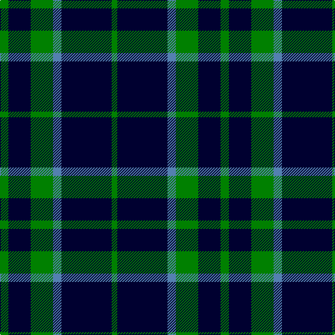 G/12 DB32 G32 B12 DB72 G/8 tartan Tartan detail