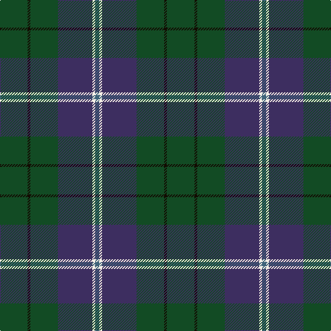 G/40 K4 G40 DB50 W4 Ga/6 tartan Tartan detail