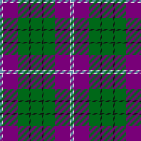 B/6 LN4 P50 G40 K4 G/40 tartan Tartan detail