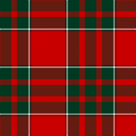 DG/40 R20 DG40 LN6 K4 R/120 tartan Tartan detail