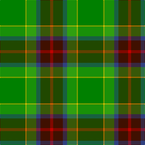 Ga/84 Y4 G32 B14 DR32 R/10 tartan Tartan detail