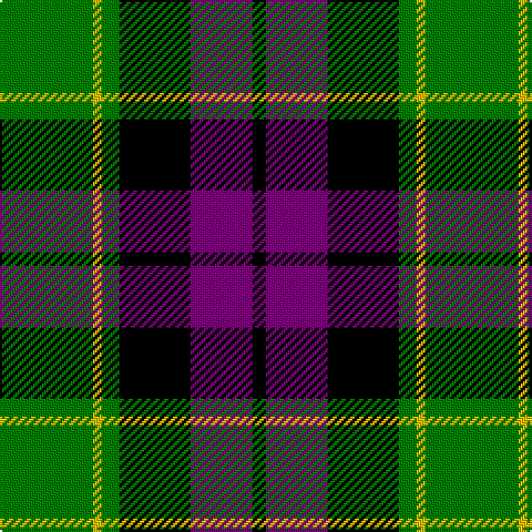 G/42 Y4 G8 K32 P28 K/6 tartan Tartan detail