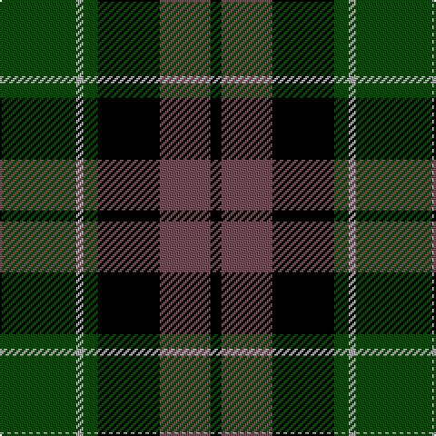 DG/42 Na4 DG8 K34 N28 K/6 tartan Tartan detail