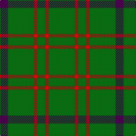 DP/14 G46 R6 G14 R6 G/46 tartan Tartan detail