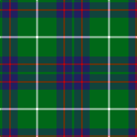 G/8 DB24 R6 DB24 G64 W/8 tartan Tartan detail