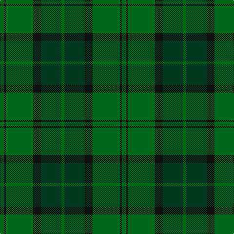 G/6 DG42 K16 G56 K4 G/8 tartan Tartan detail