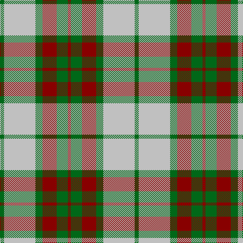 G/8 N62 G14 DR28 G22 DR/6 tartan Tartan detail