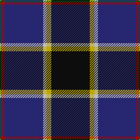 G/4 R4 DB66 LN6 Y8 K/66 tartan Tartan detail