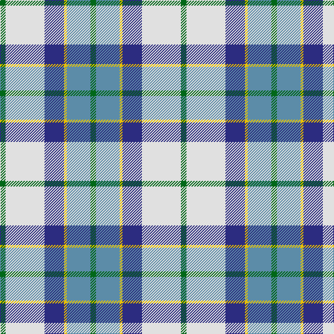 G/8 B34 Y4 DB28 LN56 G/8 tartan Tartan detail