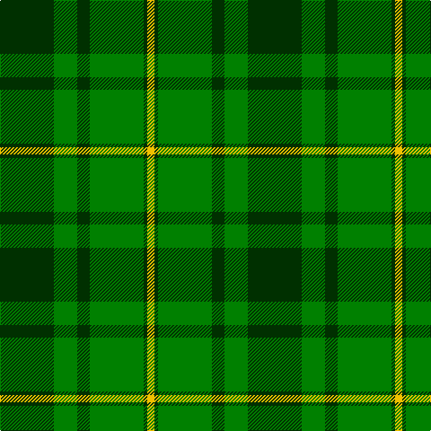 DG/60 G26 DG14 G60 DG4 Y/8 tartan Tartan detail